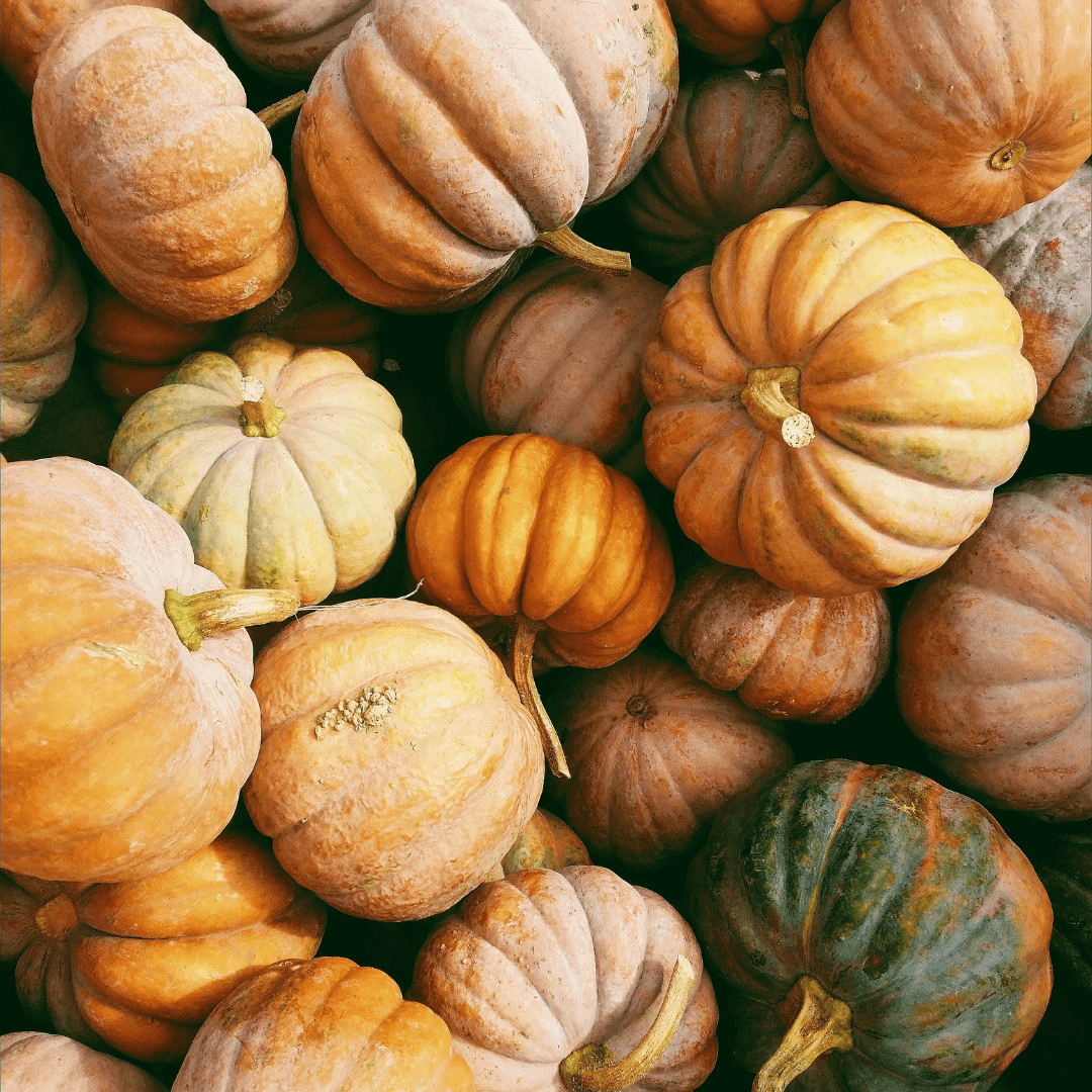 pumpkin photo Kerstin wrba unsplash