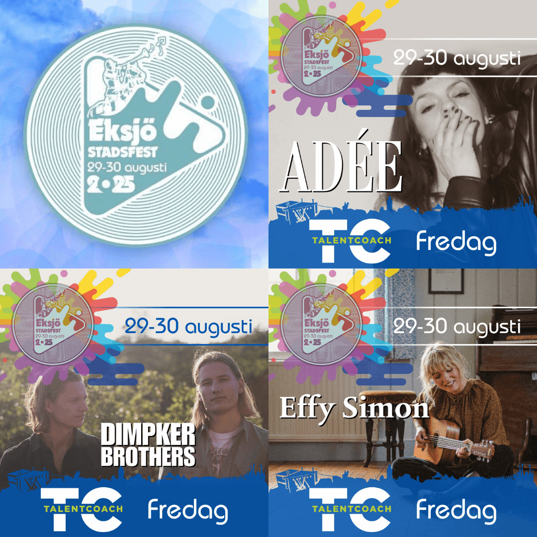Eksjö stadsfest photo collage